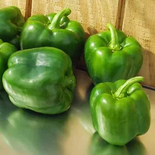 تصویر 1 از فلفل دلمه‌ ای سبز در اندازه‌ های ریز و درشت